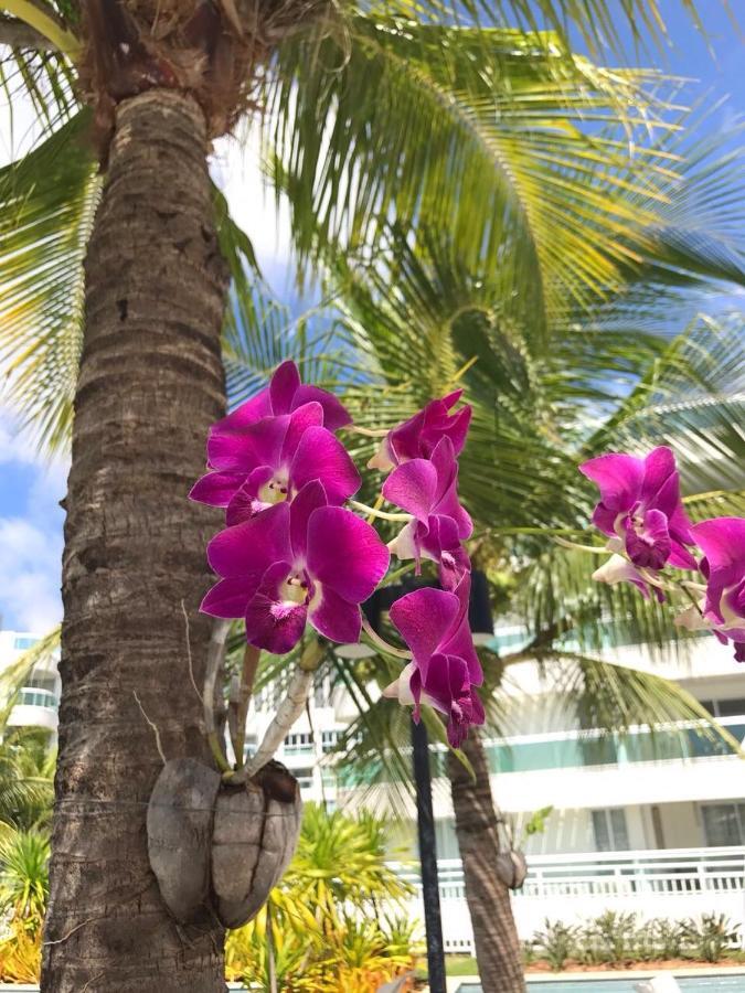 In Mare Bali Residencial Resort Pium de Cima エクステリア 写真